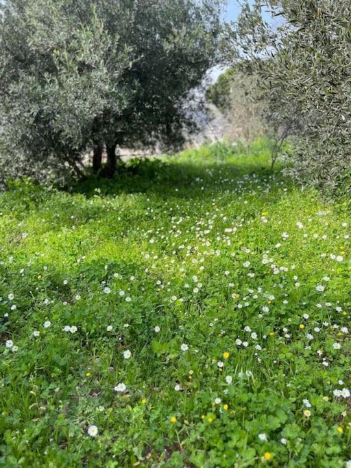 Kareshome-Privacy-View Panormos  Dış mekan fotoğraf
