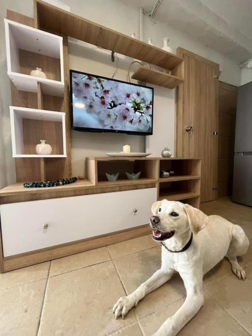 Kareshome-Privacy-View Panormos  Dış mekan fotoğraf